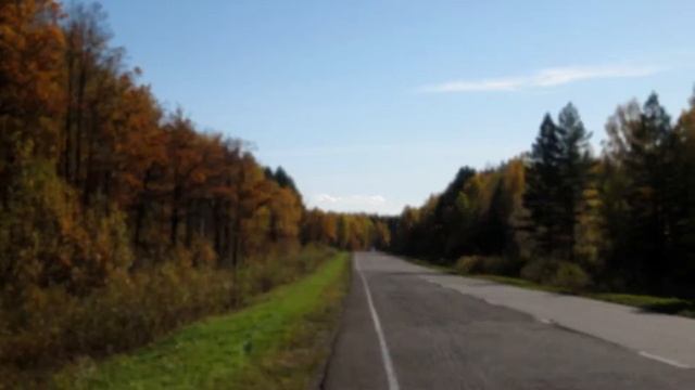Несостоявшийся проект видео (битва за пенек)