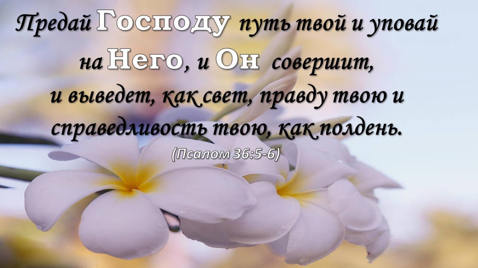 Общее собрание  18.05.2025
