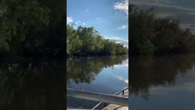 Красота восторг зеркало
