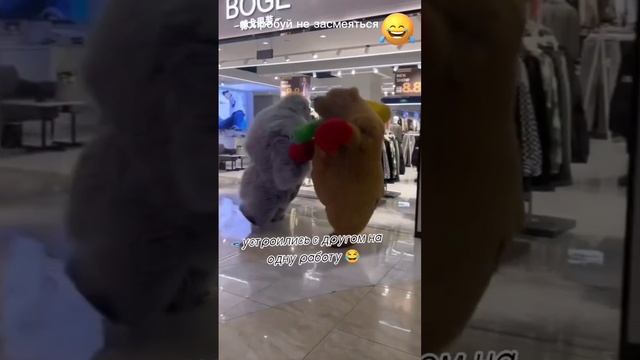 попробуй не засмеяться 🤣