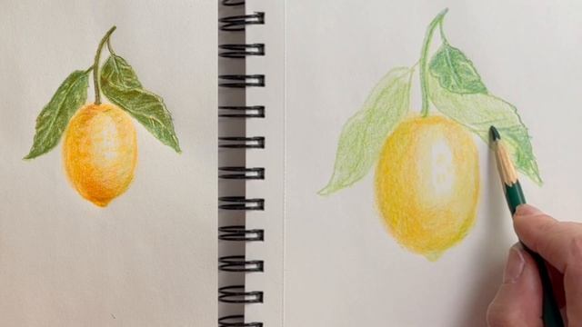 Лимон на ветке с листьями. Как нарисовать цветными кар