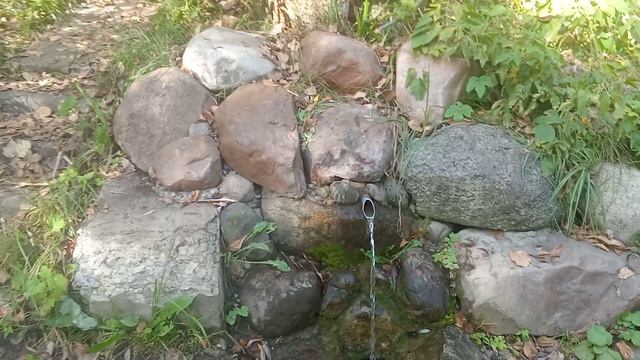 VID_20240921_143930