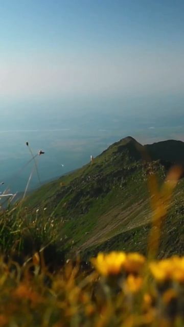 -4976340596096833519