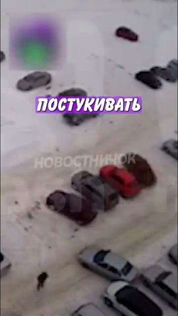 Новостничок (219)