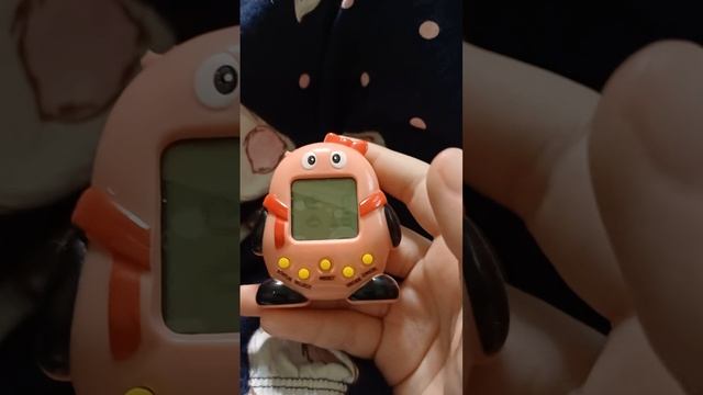 1000226007.mp4