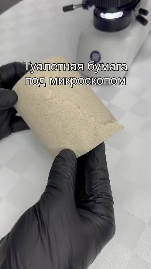 #микроскоп #микромир #подмикроскопом #наука #интересно
