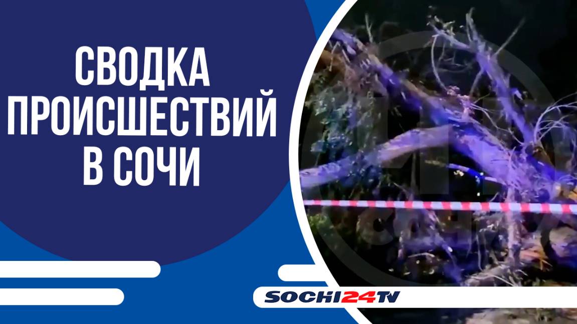 СВОДКА ПРОИСШЕСТВИЙ В СОЧИ