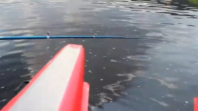 004 Живой сапог