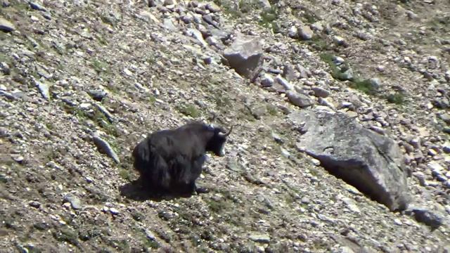 Приэльбрусье 24 Часть 6