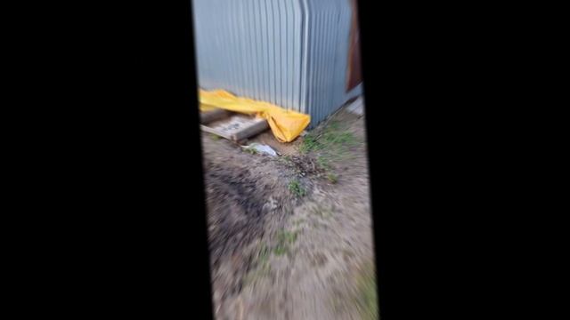 1000024072.mp4 (Собака копает землю под грядки и сажает лук у дома А-фрейм)