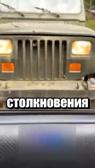 i11ushenka (1162)