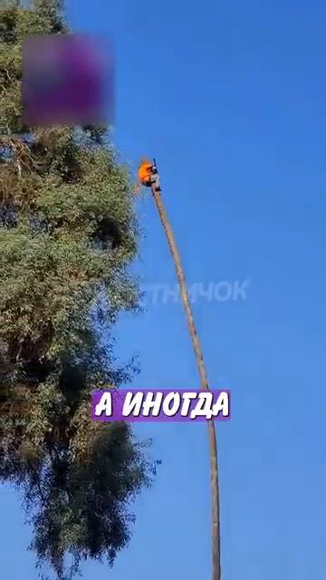 Новостничок (204)