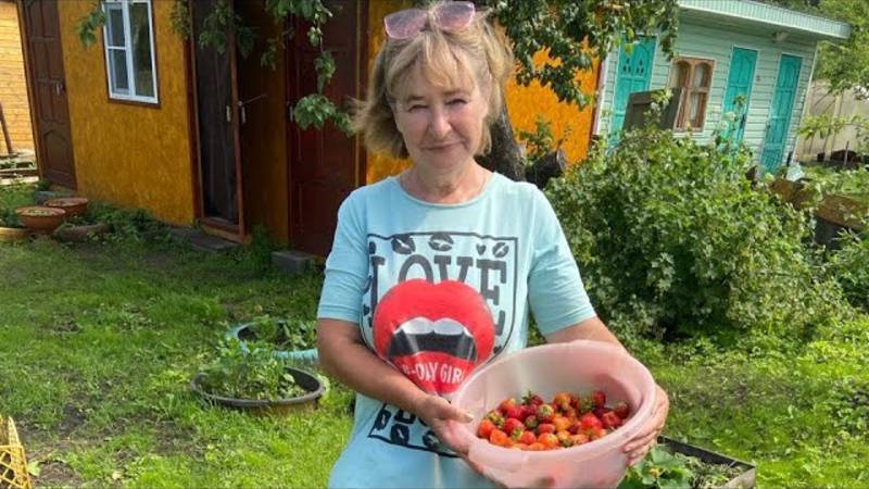 Все подкормки КЛУБНИКИ и что надо сделать, чтобы ЯГОДЫ стали крупнее