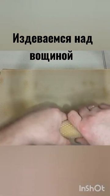 Качество вощины👍
