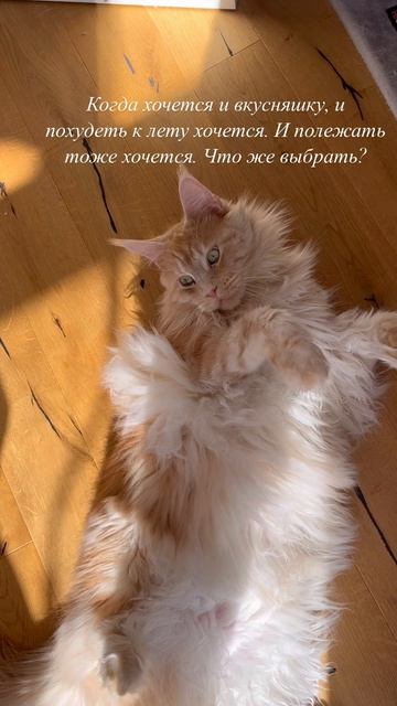 Мотивация к лету ☀️