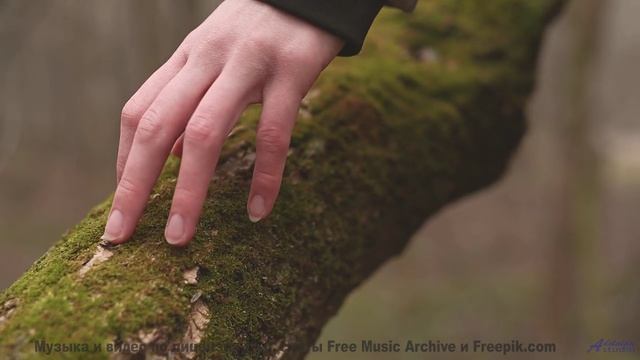Когда музыка вдохновляет бросить всё и уехать! - Reach for Success -- Scott Holmes Music -- Corporat