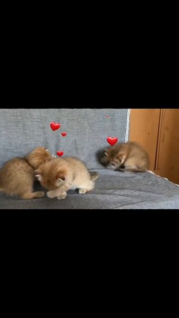 1000042619.mp4