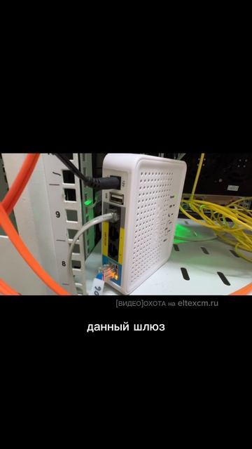 Абонентский шлюз TAU-1M.IP Eltex. Видео[Охота] на eltexcm.ru