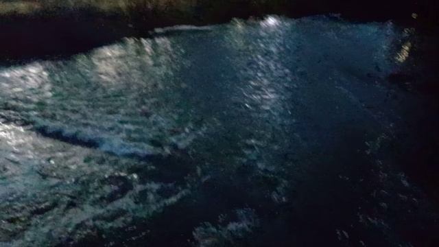 VID_20250131_173851