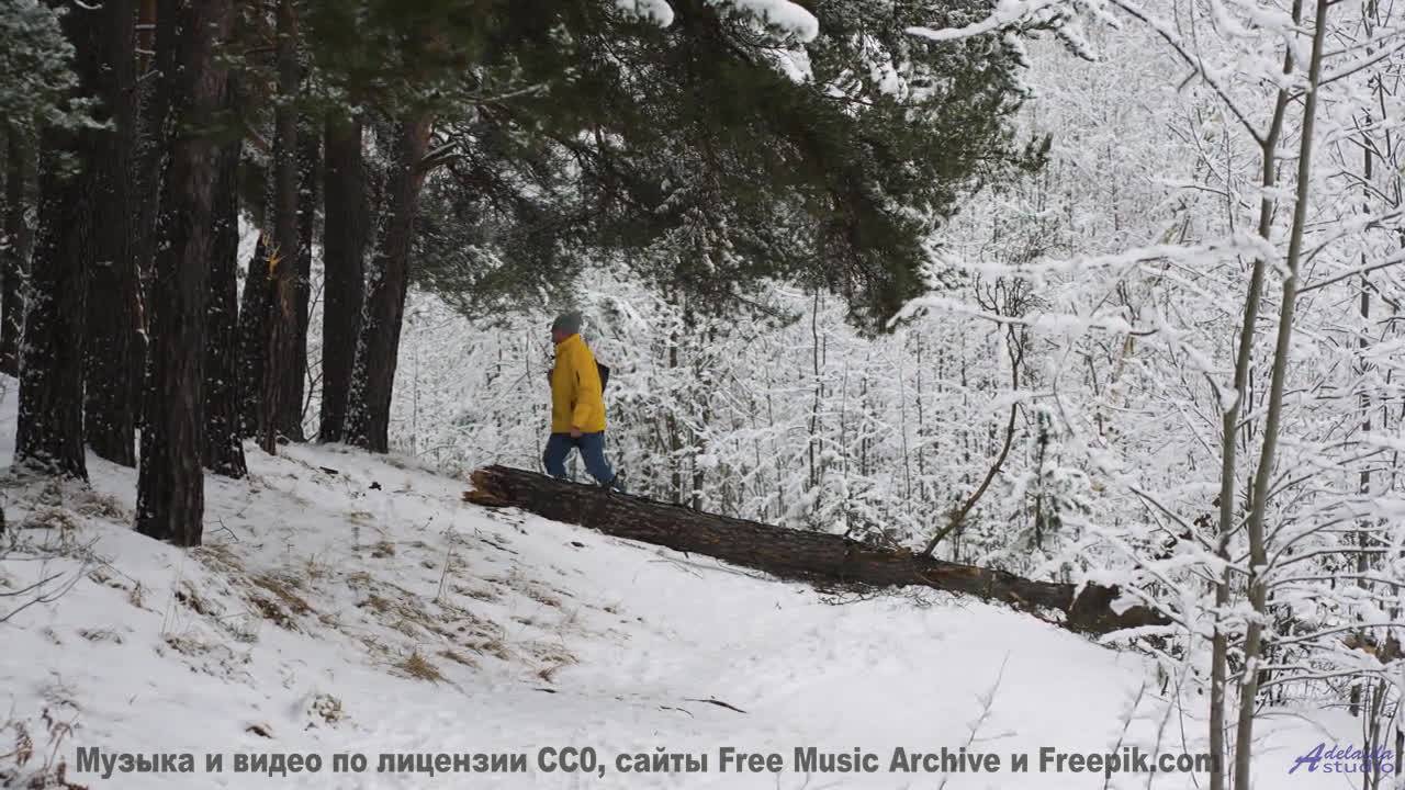 Леса и поля под этот трек - взрыв ощущений - Celebrate -- Derek Clegg -- Man on the Run