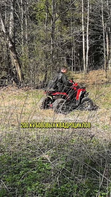 В чем преимущество квадроцикла White Siberia Bars 200 Pro от Квадробазы