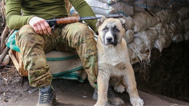 Пока Сырский в должности, он будет уничтожать ВСУ не хуже россиян
