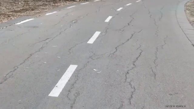 Израиль. Южный парк-Мэнахэм Бэгэн.