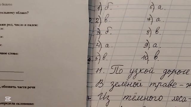 Проверка тетрадей по русскому языку #3класс #тесты #нач