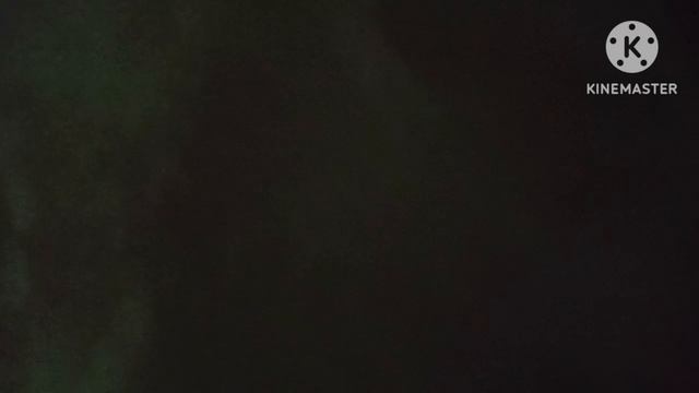 ППЛ
