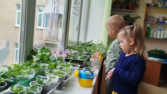 КРАСОТА!!!!