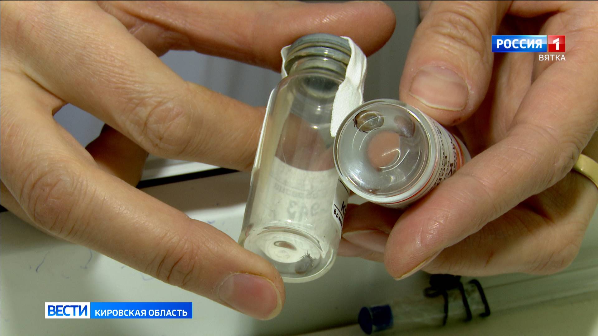 В Кировской области зафиксирован первый случай клещевого энцефалита