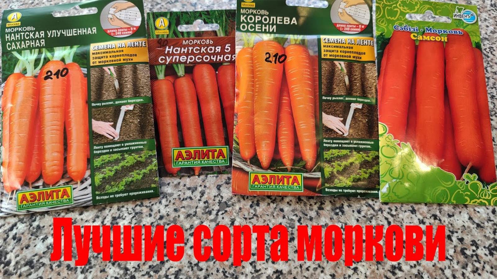 🥕 ЛУЧШИЕ СОРТА МОРКОВИ – для открытого грунта и длительного хранения!