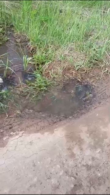 Ремонт водовода Березовая Грива СНТ "Шинник"