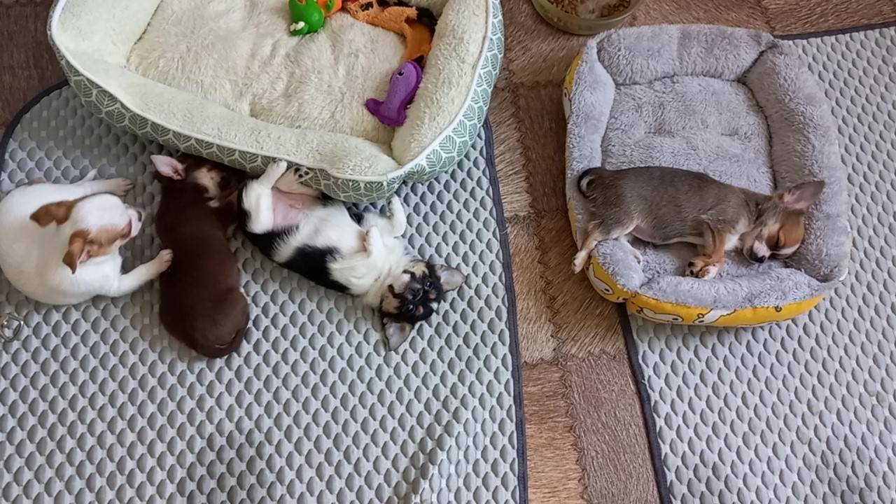 УТРО ПОНЕДЕЛЬНИКА. ВСЕМ У КОГО ОНО НЕ ТАКОЕ, ХОРОШЕГО ДНЯ И УДАЧИ !)