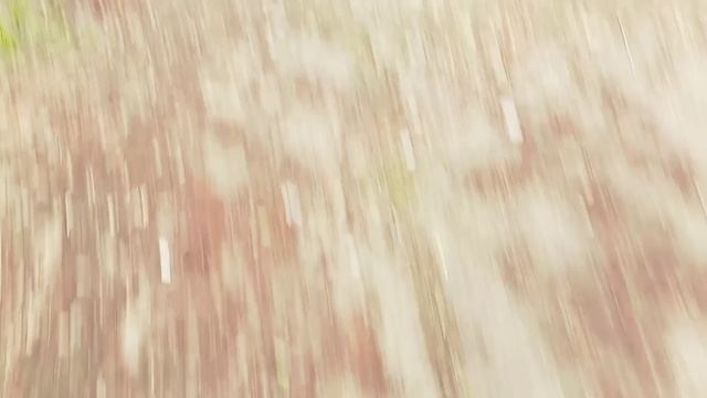 1000004996.mp4