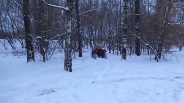 Электроквадроцикл 4х4 в зимнем лесу