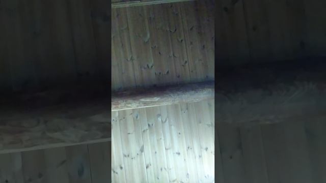 цой