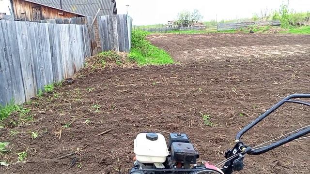 Посадка кукурузы . Начало . 19.05.25 г