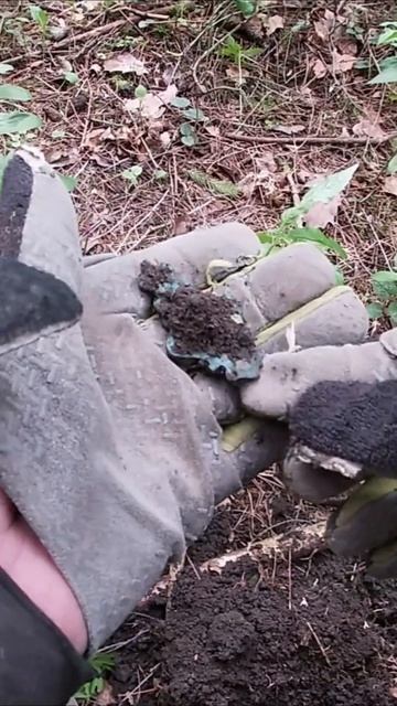 Находка сумасшедшая на металлоискатель|Crazy find on a metal det