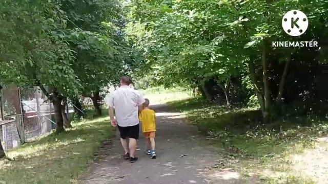 #шпиц, тривога, машина і переселенці