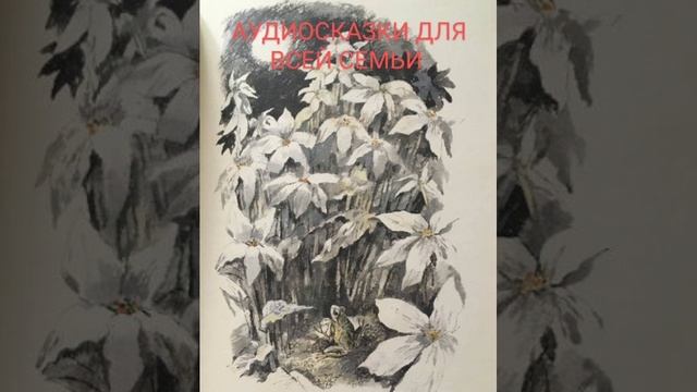 КВАКША