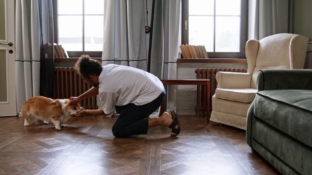 9986441-uhd_4096_2160_25fps