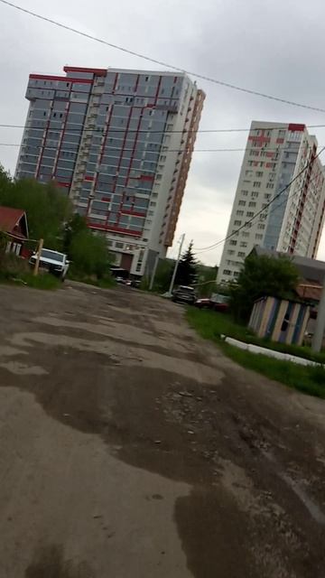 сектор