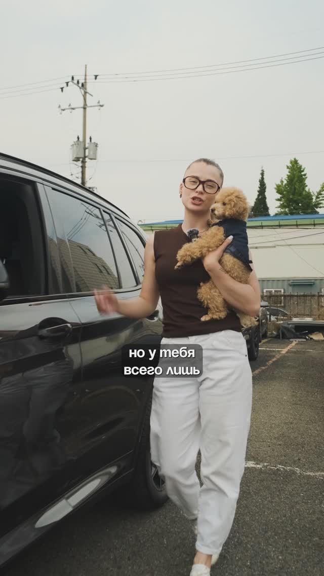 Отличный бюджетный вариант 😁🔥