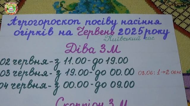 Не пропусти идеальные дни для посадки огурцов в июне 2025!