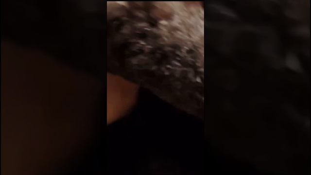 1000058584.mp4