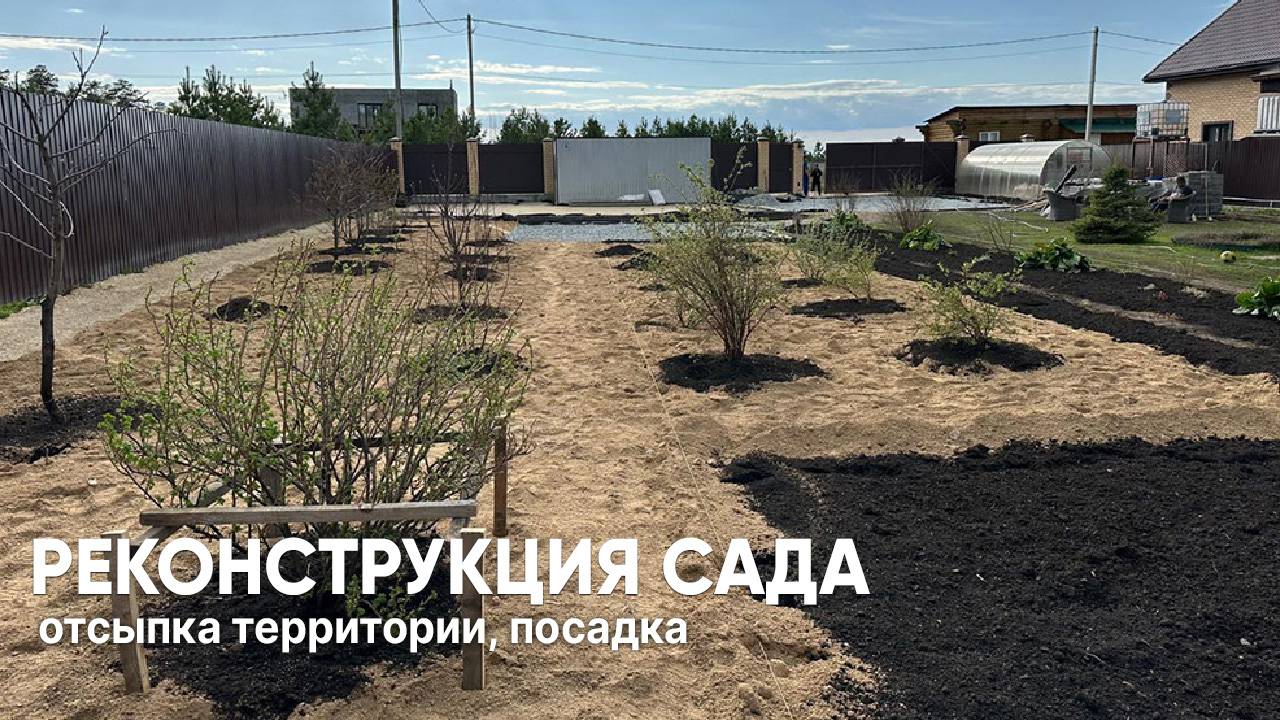 Реконструкция сада: отсыпка и посадки