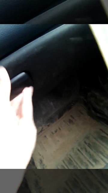 VID_20250518_130051.mp4