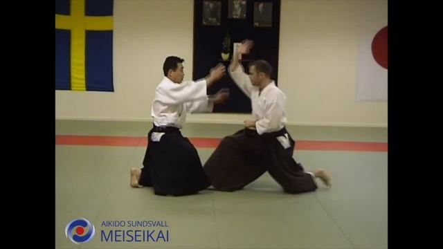 21 Aikido Suwariwaza Shomen Uchi Shihonage Shihiya Sensei Sundsvall, 2001