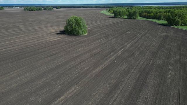 Тридевятое царство